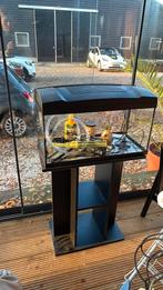 Warm water aquarium, Dieren en Toebehoren, Vissen | Aquaria en Toebehoren, Ophalen, Zo goed als nieuw, Leeg aquarium