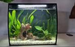Fluval aquarium 57l met afstandsbed. en diverse verlichting, Dieren en Toebehoren, Vissen | Aquaria en Toebehoren, Ophalen, Zo goed als nieuw