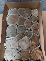 Ammonieten uit Frankrijk - 21 stuks, Verzamelen, Mineralen en Fossielen, Ophalen of Verzenden, Fossiel