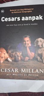 Cesar Millan - Cesars aanpak, Ophalen of Verzenden, Zo goed als nieuw, Honden, Cesar Millan