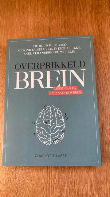 Charlotte Labee - Overprikkeld brein beschikbaar voor biedingen
