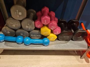 Dumbbells beschikbaar voor biedingen