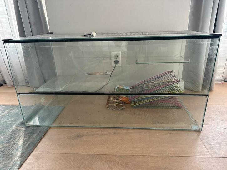 Terrarium voor hamster of andere dieren., Dieren en Toebehoren, Reptielen en Amfibieën, 0 tot 2 jaar