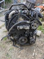 motor blok peugeot partner typ, Ophalen, Nieuw, Peugeot