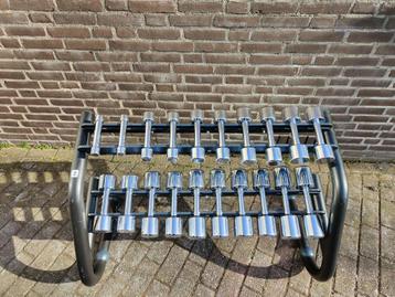 Technogym Chrome Dumbells 1kg t/m 10kg + Zwart TG Opbergrek beschikbaar voor biedingen