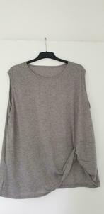 Aparte grijze top maat XXL (nieuw), Maat 46/48 (XL) of groter, Nieuw, Ophalen of Verzenden, Zonder mouw
