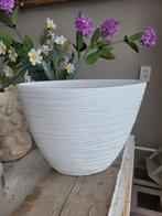 Prachtige smalle vaas bloempot, Ophalen, Gebruikt, Rond, Minder dan 25 cm