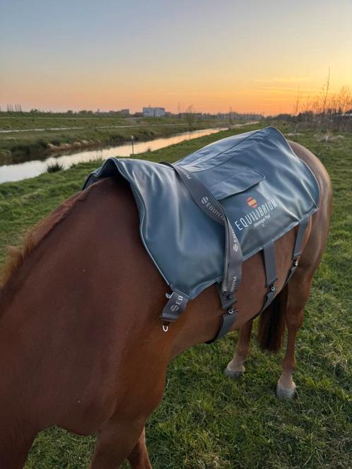 Heerlijke massage met Equilibrium pad, Dieren en Toebehoren, Paarden en Pony's | Overige Paardenspullen, Gebruikt, Overige soorten