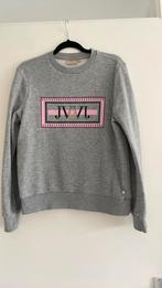 Josh V grijze sweater maat M, Kleding | Dames, Ophalen of Verzenden, Zo goed als nieuw, Grijs