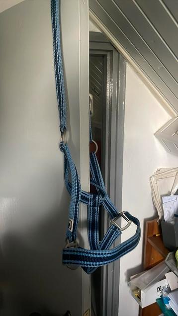 Mooi nieuw stevig nylon halster mt Full beschikbaar voor biedingen