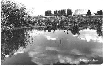 962515	Biesbosch	1961 Maltha	Gelopen met postzegel           beschikbaar voor biedingen