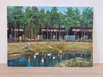 Centerparcs Sporthuis Centrum Het Vennebos Center Parcs, Ophalen of Verzenden, 1980 tot heden, Noord-Brabant