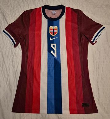 Origineel Nike Dri-Fit ADV Authentic Noorwegen voetbalshirt  beschikbaar voor biedingen