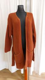 Ba&sh vest maat S terracotta, Ophalen of Verzenden, Zo goed als nieuw, Maat 38/40 (M)