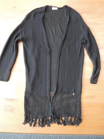 Super leuk zomer vest Anna van Toor maat 36 knit wear / gebr beschikbaar voor biedingen