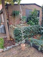 Grote alternatieve kunst Kerstboom kunstplant  175cm hoog, Diversen, Ophalen