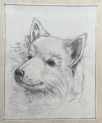 Tekening Hond, Ophalen of Verzenden