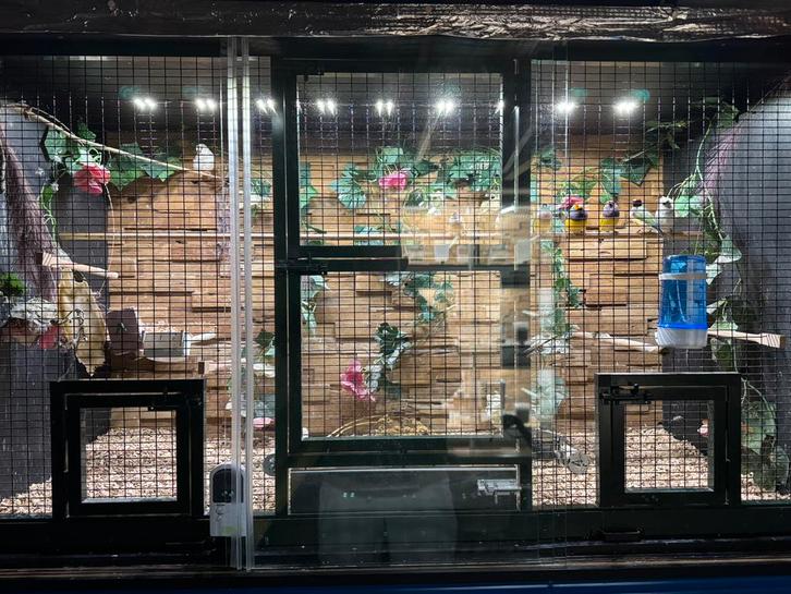 Zeer mooie vluchtkooi te koop, Dieren en Toebehoren, Vogels | Hokken en Kooien, Zo goed als nieuw, Vogelkooi, Overige materialen