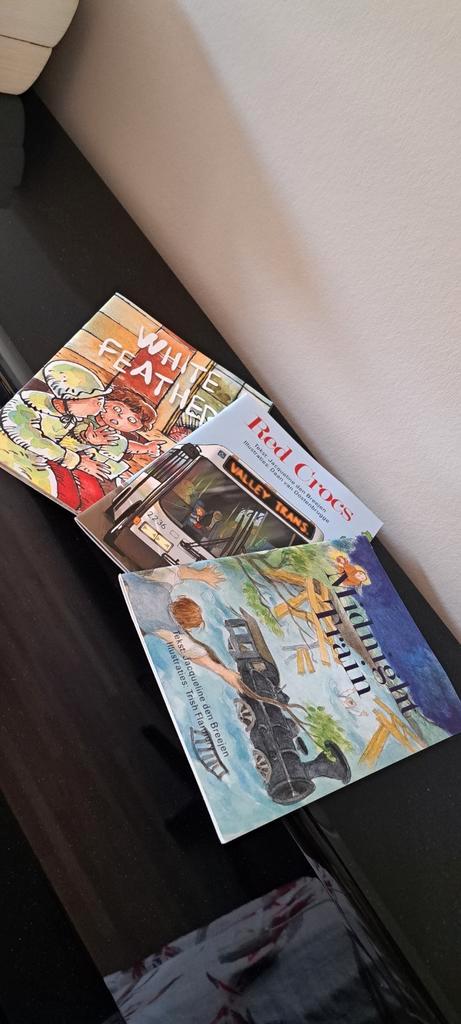 Drie Engelse boekjes Jacqueline den Breejen - Midnight train, Boeken, Kinderboeken | Jeugd | 10 tot 12 jaar, Zo goed als nieuw
