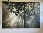 Grote wanddecoratie Ikea, Huis en Inrichting, Woonaccessoires | Schilderijen, Tekeningen en Foto's, Ophalen, 125 cm of meer, 75 cm of meer