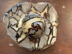 Bijzondere Septarie  - 4,8 kg, Ophalen of Verzenden