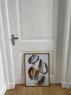 Poster oesters (desenio oyster shells no 1) 50 bij 70 cm, Verzamelen, Posters, Ophalen of Verzenden