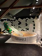 Ballenbak met glijbanen+playground, Ophalen of Verzenden, Zo goed als nieuw, Overige