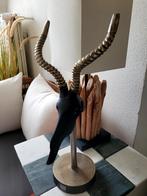 PTMD antilope schedel zwart/koper van metaal, Huis en Inrichting, Woonaccessoires | Overige, Ophalen of Verzenden, Zo goed als nieuw