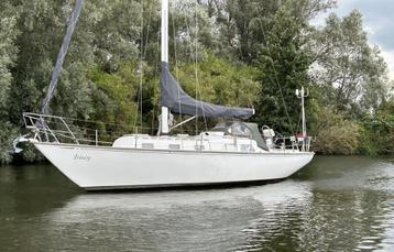 Raider 35 Inruil Mogelijk beschikbaar voor biedingen