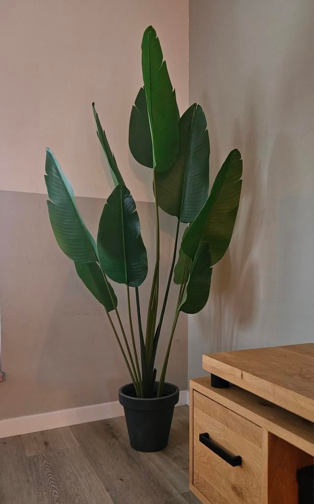 Mooie Kunstplant - 180cm - Zo goed als nieuw!, Huis en Inrichting, Kamerplanten, Ophalen, Overige soorten, Halfschaduw, In pot