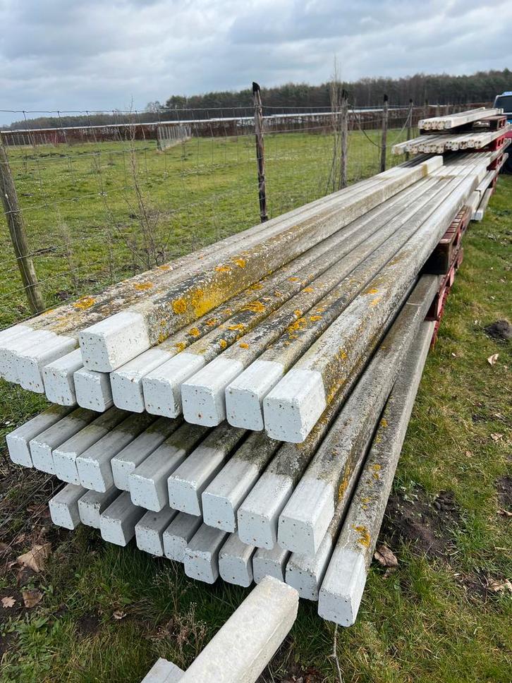 Betonpalen voor vogelnet/volière - Diverse maten, Tuin en Terras, Palen, Balken en Planken, Gebruikt, Palen, 250 cm of meer, Ophalen of Verzenden