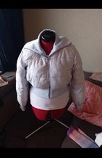 Leuke licht blauwe jas divided maat s ., Kleding | Dames, H&M, Blauw, Ophalen of Verzenden, Zo goed als nieuw