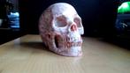 5'' Skull Red Network Jaspis, Verzamelen, Beelden en Beeldjes, Ophalen of Verzenden, Nieuw, Mens