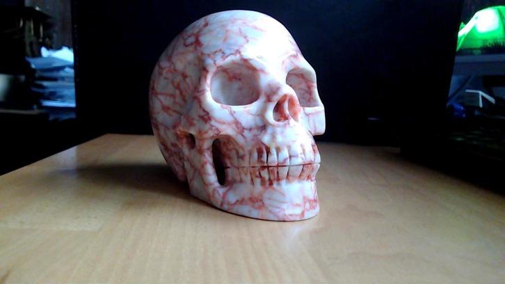 5'' Skull Red Network Jaspis, Verzamelen, Beelden en Beeldjes, Nieuw, Mens, Ophalen of Verzenden