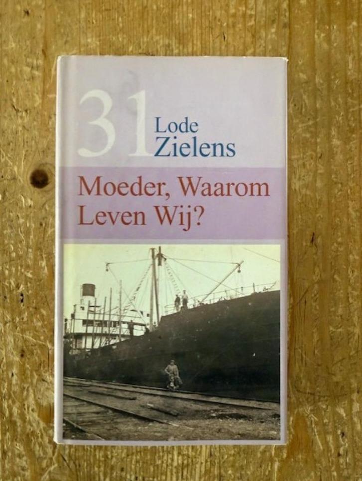 Lode Zielens, Moeder, waarom leven wij?, Boeken, Romans, Zo goed als nieuw, België, Ophalen of Verzenden