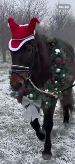 Kerstkrans paard of pony huren / fotoshoot paard Kerst, Ophalen, Nieuw