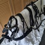 Nette lederen Ideal enkelspantuig voor Shetlander of pony, Dieren en Toebehoren, Paarden en Pony's | Hoofdstellen en Tuigage, Ophalen of Verzenden