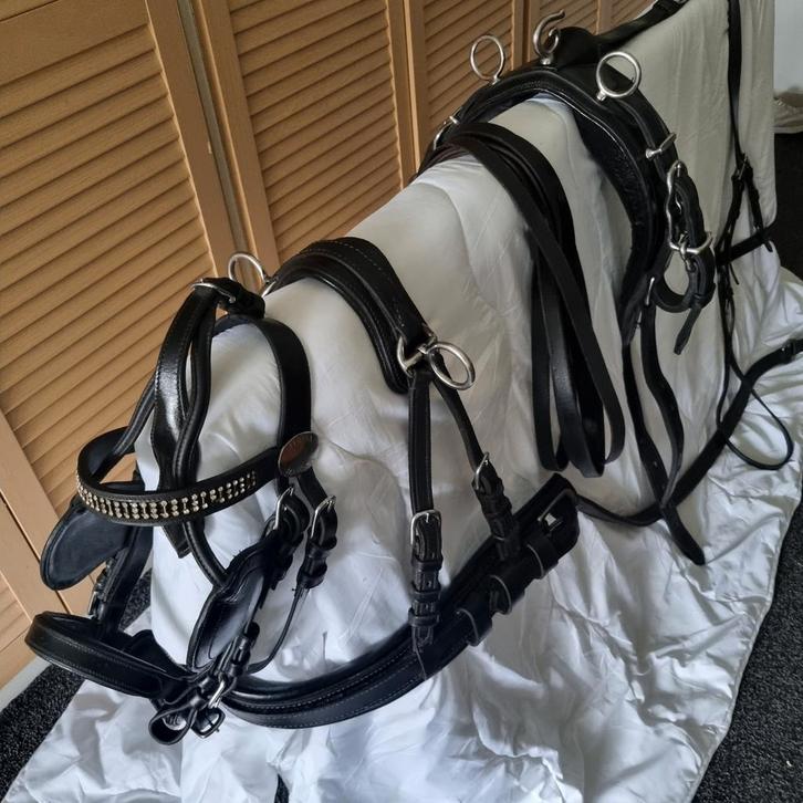 Nette lederen Ideal enkelspantuig voor Shetlander of pony, Dieren en Toebehoren, Paarden en Pony's | Hoofdstellen en Tuigage, Zo goed als nieuw