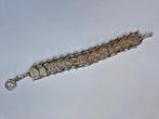 Verzilverde armband met sterrenbeelden., Ophalen of Verzenden, Gebruikt, Zilver, Zilver