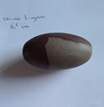 Shiva Lingham, Ophalen of Verzenden, Nieuw