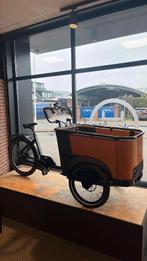 Cangoo Buckle Up, Overige merken, 4 kinderen of meer, Ophalen of Verzenden, Nieuw