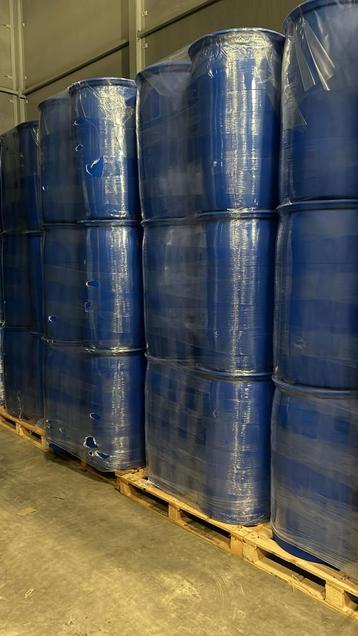 SL Drijvers (bj 2024) beschikbaar voor biedingen