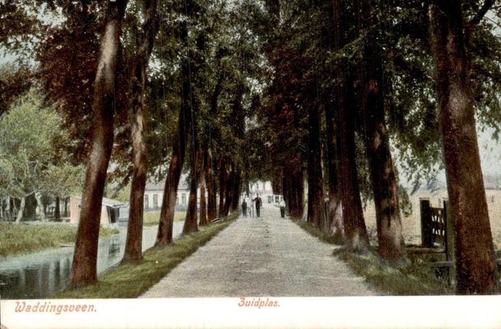 Waddingsveen - Zuidplas, Verzamelen, Ansichtkaarten | Nederland, Ongelopen, Zuid-Holland, Voor 1920, Ophalen of Verzenden