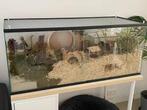 Hamster terrarium dringend opzoek, Dieren en Toebehoren, Reptielen en Amfibieën | Toebehoren, Ophalen of Verzenden, Zo goed als nieuw