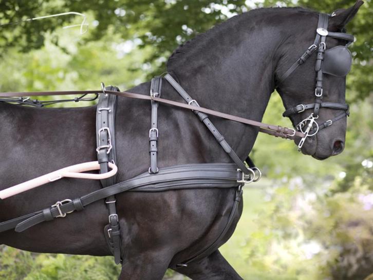 Groot assortiment tuigen voor uw marathonwagen, Dieren en Toebehoren, Paarden en Pony's | Hoofdstellen en Tuigage, Nieuw