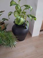 Supergave grote pot zwart kan binnen of buiten, Ophalen, 40 cm of meer, Rond, Tuin