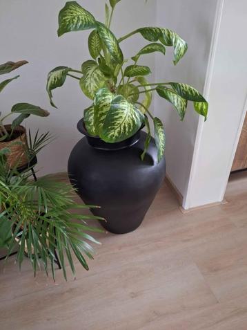 Supergave grote pot zwart kan binnen of buiten beschikbaar voor biedingen