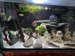 Compleet aquarium 200x60x60, Ophalen, Zo goed als nieuw