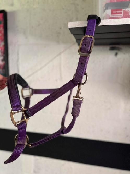 Halster paars FULL, Dieren en Toebehoren, Paarden en Pony's | Hoofdstellen en Tuigage, Gebruikt, Overige soorten, Ophalen of Verzenden