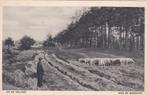GA1056 Op de veluwe Aan de Bosrand Putten Garderen Ermelo, Verzenden, 1940 tot 1960, Gelopen, Gelderland